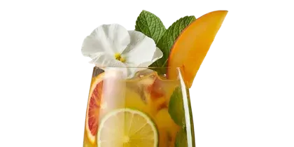 Mango MIMO · Gin tonic